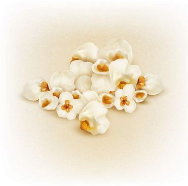 وکتور پاپ کورن وکتور پوفیلا وکتور ذرت بوداده