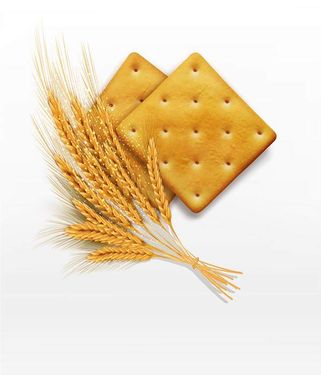 وکتور بیسکویت جو وکتور بیسکویت رژیمی