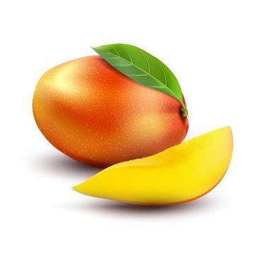 وکتور انبه  وکتور سوپر میوه وکتور mango