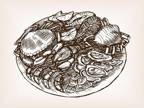 وکتور سالاد وکتور رستوران وکتور ظرف غذا