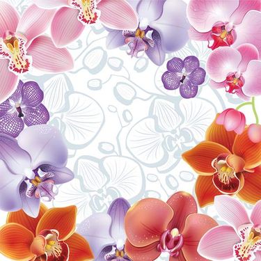 وکتور بک گراند گل وکتور حاشیه گل