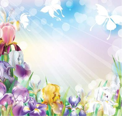 وکتور بک گراند گل وکتور حاشیه گل