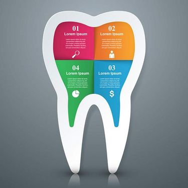 وکتور اینفوگرافی دندان پزشکی