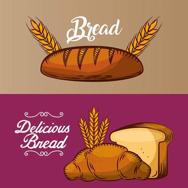 وکتور نان وکتور نانوایی وکتور نان صنعتی