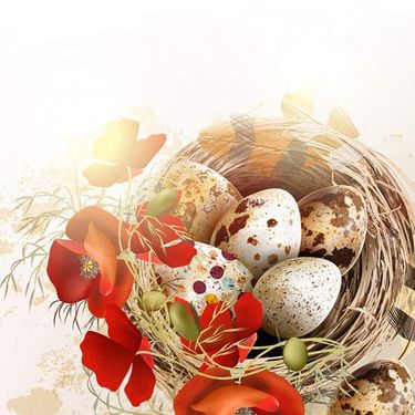 وکتور گل لاله  وکتور تخم مرغ رنگی