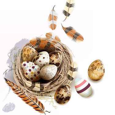 وکتور پر گرافیکی وکتور تخم مرغ رنگی