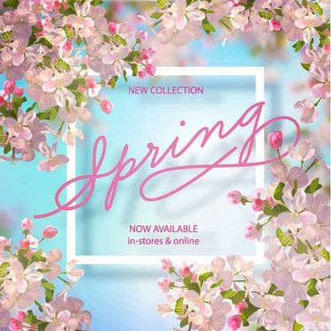 وکتور حاشیه گل طبیعی وکتور حاشیه شکوفه