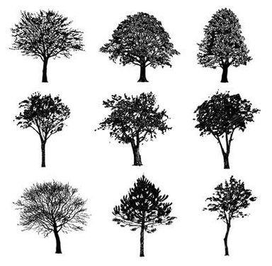 وکتور لوگو درخت وکتور  انواع درخت