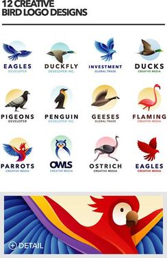 وکتور انواع پرنده وکتور پرنده شناسی