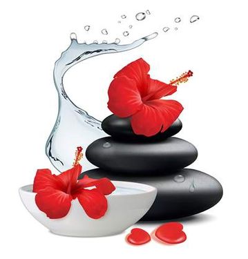 وکتور گل وکتور شکوفه گل وکتور سنگ ماساژ