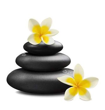 وکتور گل وکتور شکوفه گل وکتور سنگ ماساژ