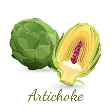 وکتور میوه فروشی وکتور سوپر میوه