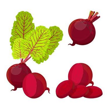 وکتور میوه فروشی وکتور سوپر میوه