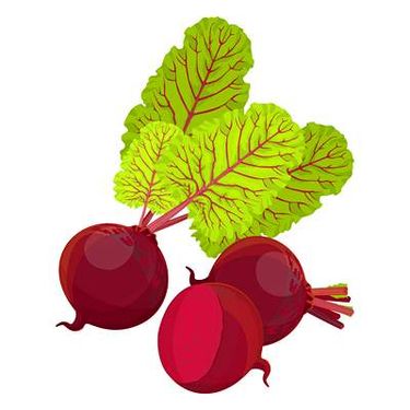 وکتور میوه فروشی وکتور سوپر میوه