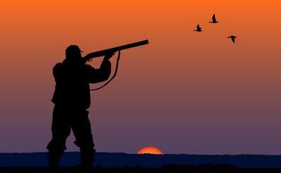 وکتور شکار وکتور شکارچی