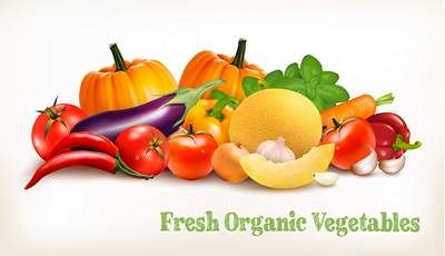 وکتور میوه فروشی وکتور میوه های ارگانیک