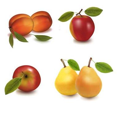 وکتور گلابی وکتور میوه فروشی