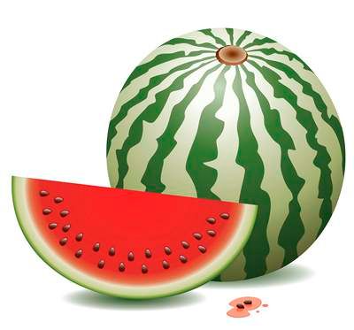 وکتور میوه فروشی وکتور هندوانه