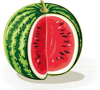 وکتور میوه فروشی وکتور هندوانه