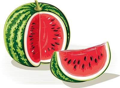 وکتور میوه فروشی وکتور هندوانه