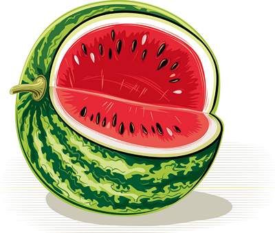 وکتور میوه فروشی وکتور هندوانه