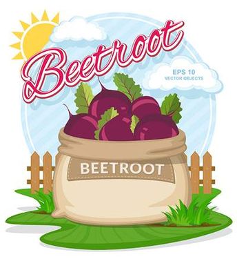 وکتور میوه فروشی وکتور تربچه