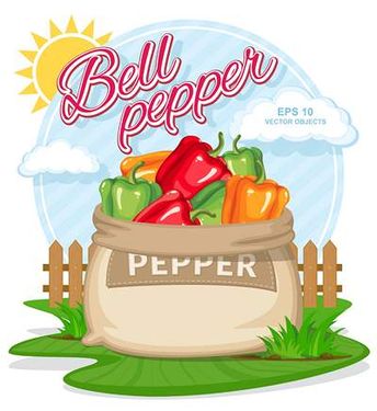 وکتور میوه فروشی وکتور فلفل دلمه ای