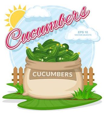 وکتور میوه فروشی وکتور خیار