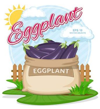 وکتور میوه فروشی وکتور بادمجان