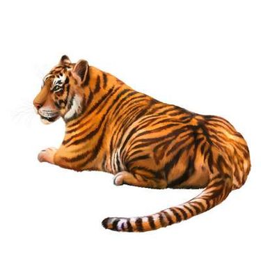 وکتور پلنگ وکتور یوزپلنگ وکتور ببر