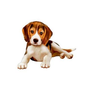 وکتور سگ وکتور حیوان خانگی