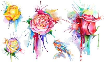 وکتور غنچه گل وکتور گل رز