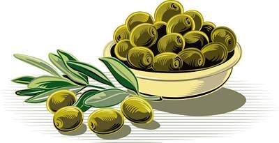 وکتور زیتون وکتور ظرف زیتون