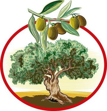 وکتور زیتون وکتور درخت زیتون