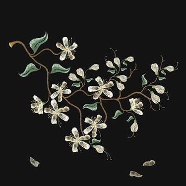 وکتور شاخه گل وکتور بک گراند گل