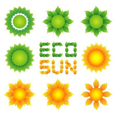 وکتور گل وکتور گل آفتابگردان وکتور خورشید