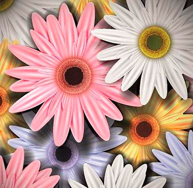 وکتور بک گراند گل وکتور پس زمینه گل