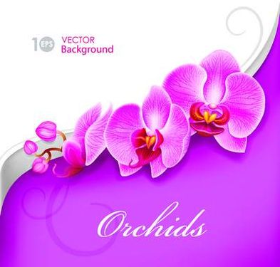 وکتور بک گراند گل وکتور حاشیه گل