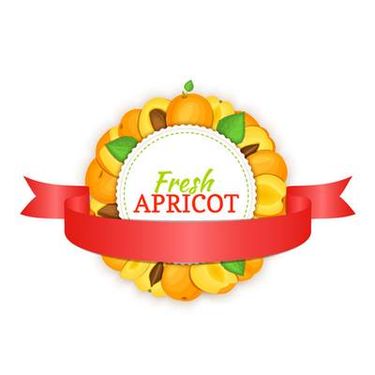 وکتور میوه فروشی وکتور حاشیه میوه ای