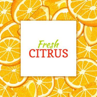 وکتور میوه فروشی وکتور حاشیه میوه ای