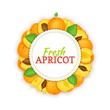 وکتور میوه فروشی وکتور حاشیه میوه ای