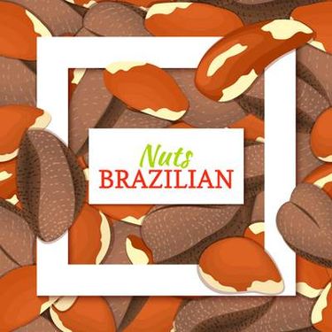 وکتور میوه فروشی وکتور حاشیه میوه ای