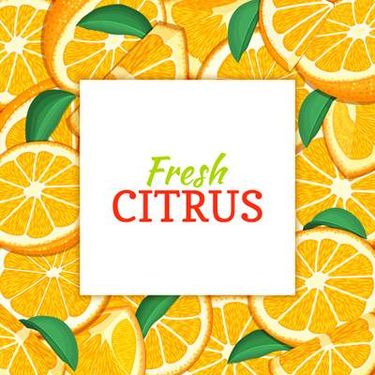 وکتور بک گراند میوه ای وکتور پرتقال