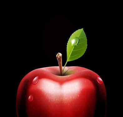 وکتور سیب قرمز وکتور آب میوه طبیعی