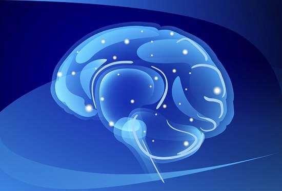 وکتور عکس گرافی مغز انسان وکتور پزشکی