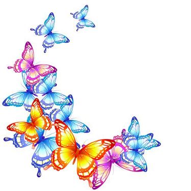 وکتور پروانه رنگی وکتور پروانه گرافیکی