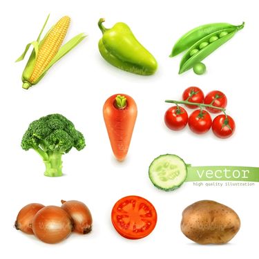 وکتور سبزیجات
