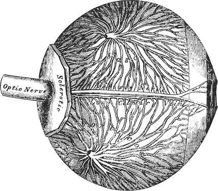 وکتور چشم