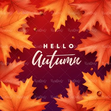 Autumn Sale Vector