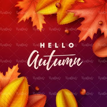 Autumn Sale Vector